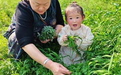 带字qq皮肤女生